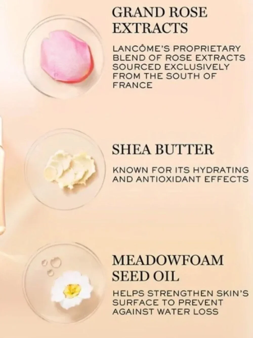 **5/$25** BEAUTY – LANCOME Absolue Regenerating Brightening Soft Cream